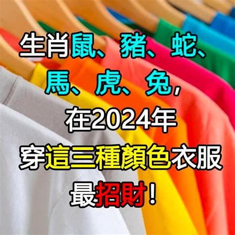 五行招財顏色2023|兔年必用招財色大全